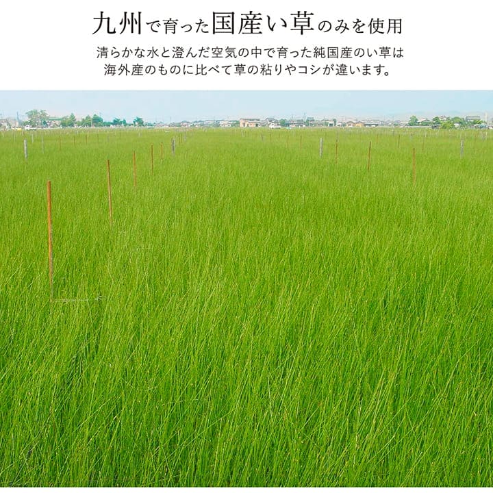 い草ラグラグいぐさ2畳国産ウレタン厚手裏貼りい草カーペット夏用い草カーペット日本製クッションおしゃれ抗菌防臭ござ夏正方形無地ラグマットカバー拭けるペットオールシーズン通年涼しい