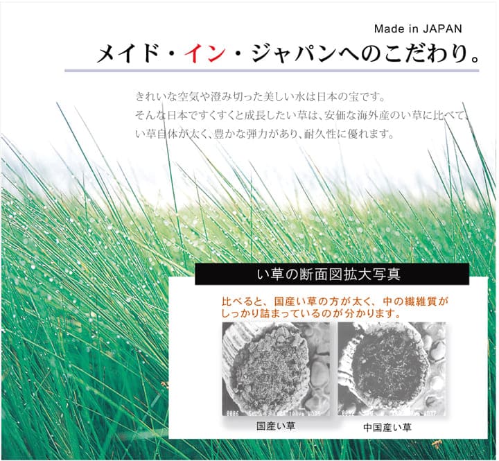 い草ラグラグいぐさ3畳国産ウレタン裏貼りい草カーペット夏用い草カーペット日本製厚手クッション畳おしゃれ抗菌防臭ござ夏長方形ラグマットカバー拭けるペットオールシーズン通年涼しい