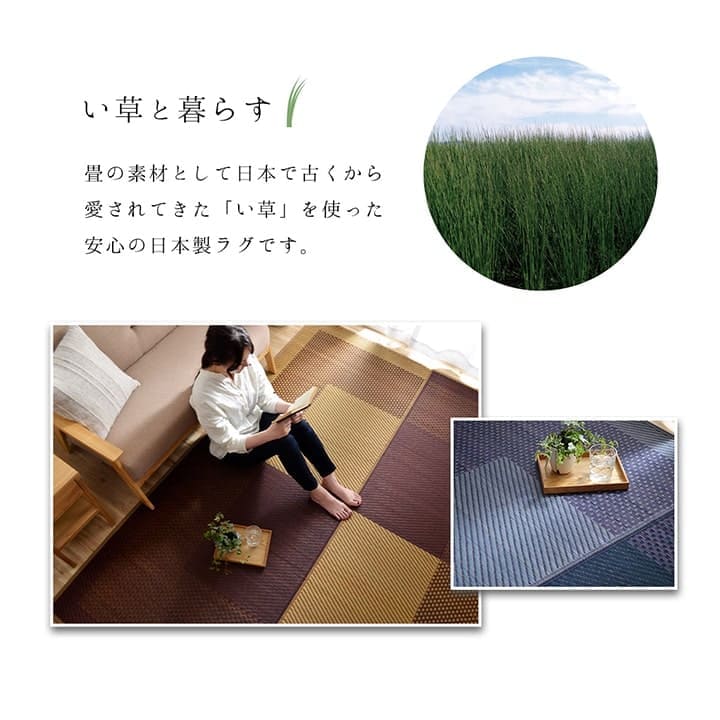 い草カーペットい草ラグ2畳国産本間上敷きい草カーペットラグいぐさ畳夏用日本製おしゃれ抗菌防臭サイズ二畳夏正方形ござ上敷き畳ラグマットカバー拭けるペットオールシーズン通年涼しい