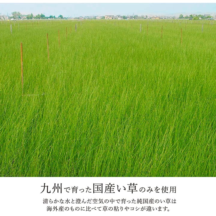 い草ラグラグいぐさ3畳国産ウレタン厚手裏貼りい草カーペット夏用い草カーペット日本製クッションおしゃれ抗菌防臭夏長方形モダンラグマットカバー拭けるペットオールシーズン通年涼しい