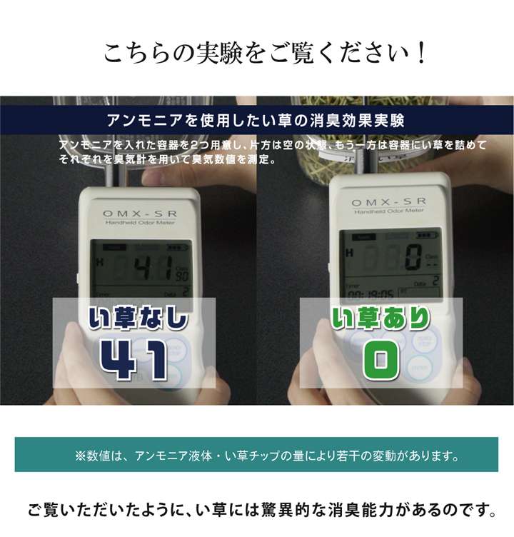 玄関マット室内60×90おしゃれ北欧夏用大きめモダン風水高級薄型6090屋内マットエントランスマット