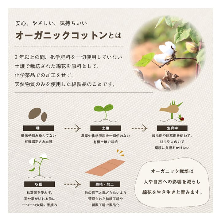 腰当てクッション