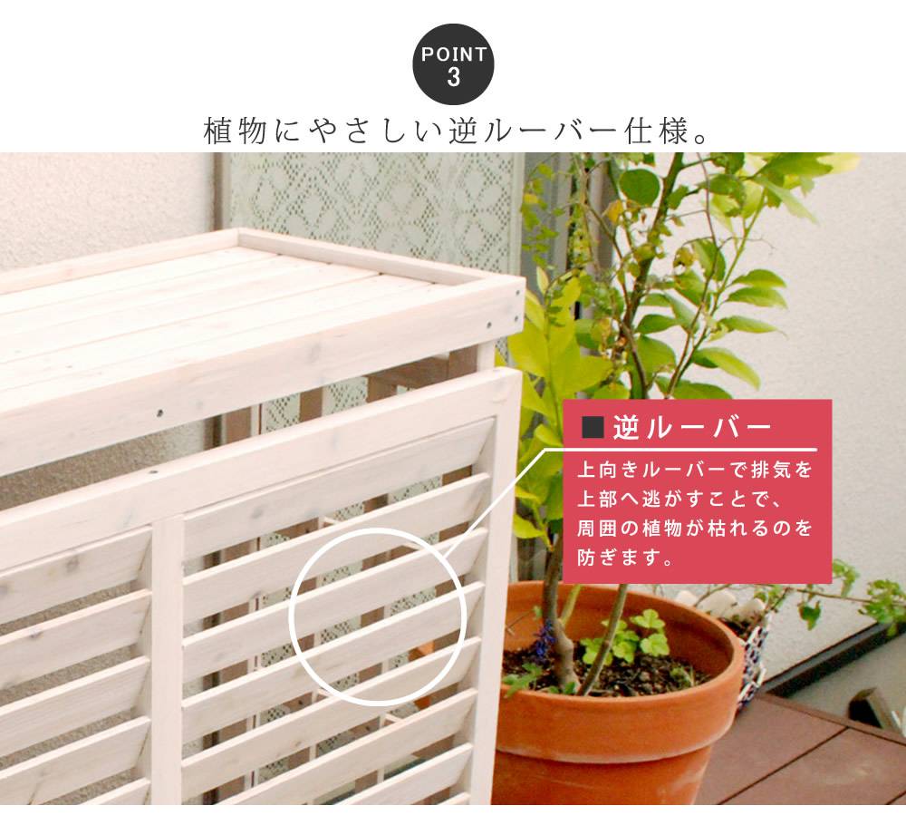 棚付き