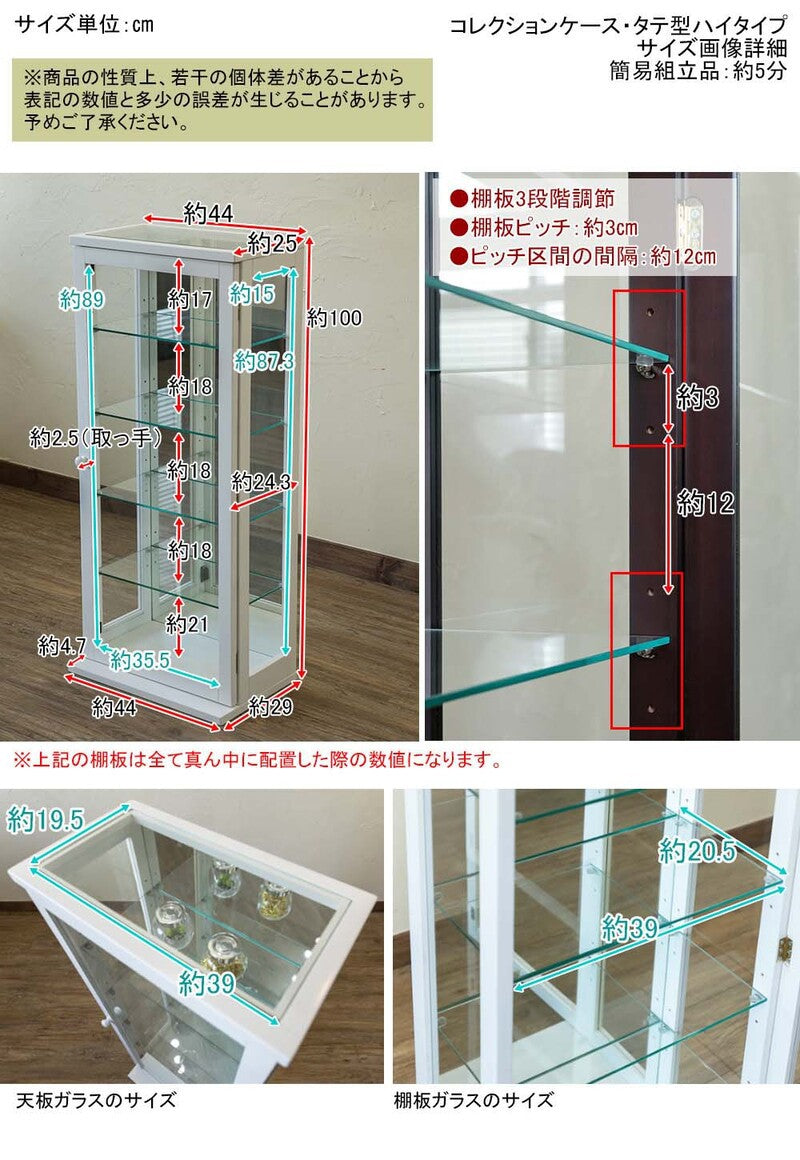 コレクションケースショーケース