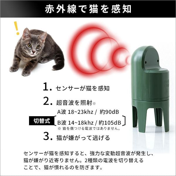猫しっし
