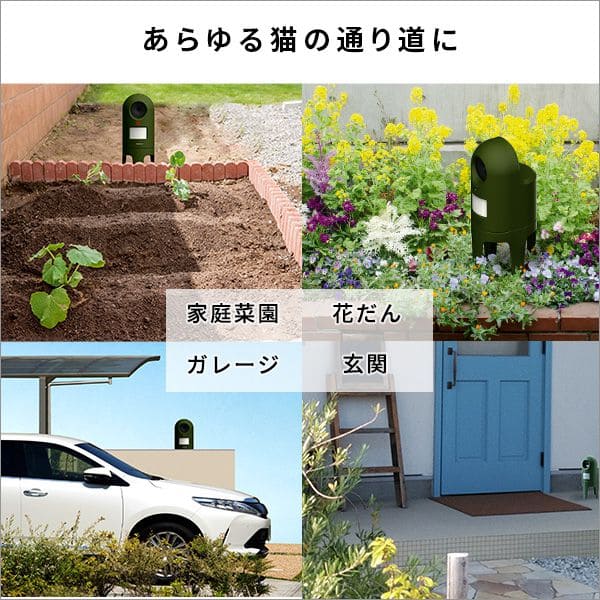 乾電池式