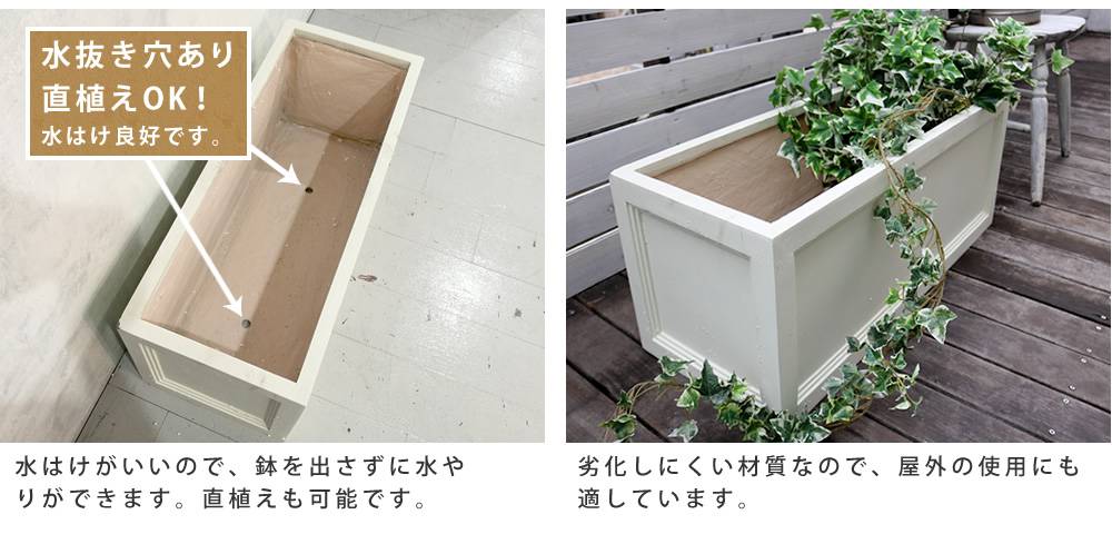 菜園