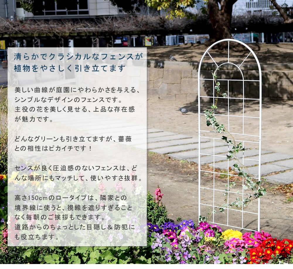 クラシックフェンス150ロータイプ2枚組【送料無料フェンスアイアンガーデンフェンスガーデニング枠柵仕切り目隠し境目クラシカルアンティークトレリスベランダつる薔薇バラ朝顔園芸ラティスつるバラ庭誘引屋外】