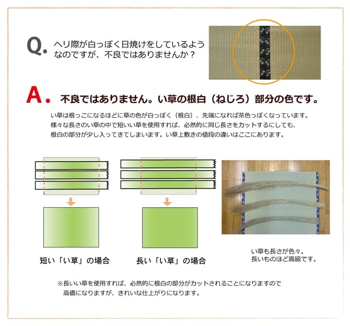 純国産い草上敷きカーペット双目織草津江戸間2畳約176×176cm