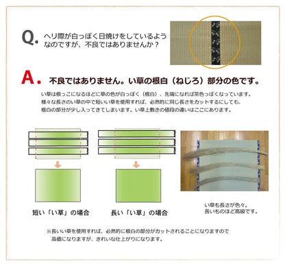 純国産い草上敷きカーペット双目織草津江戸間2畳約176×176cm