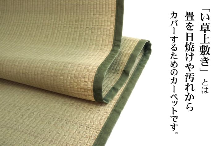 純国産い草上敷きカーペット双目織草津江戸間2畳約176×176cm