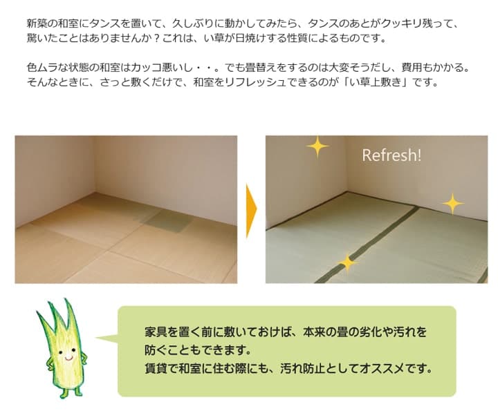 純国産い草上敷きカーペット双目織草津江戸間2畳約176×176cm