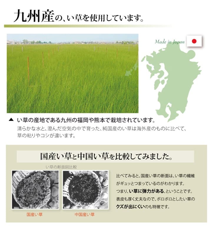 純国産い草上敷きカーペット双目織草津江戸間2畳約176×176cm
