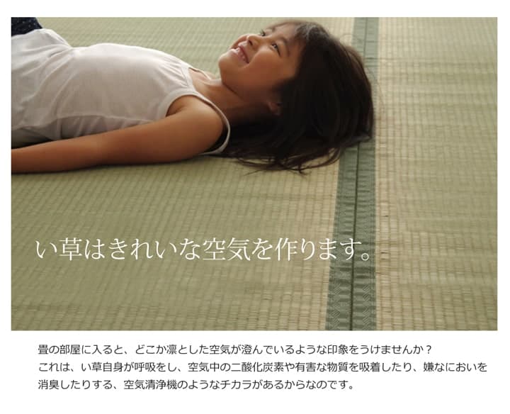 純国産い草上敷きカーペット双目織草津江戸間2畳約176×176cm