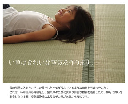 純国産い草上敷きカーペット双目織草津江戸間2畳約176×176cm
