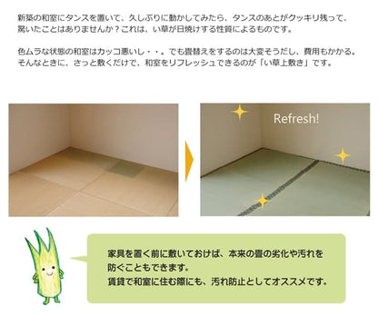 純国産い草上敷きカーペット双目織松団地間3畳約170×255cm