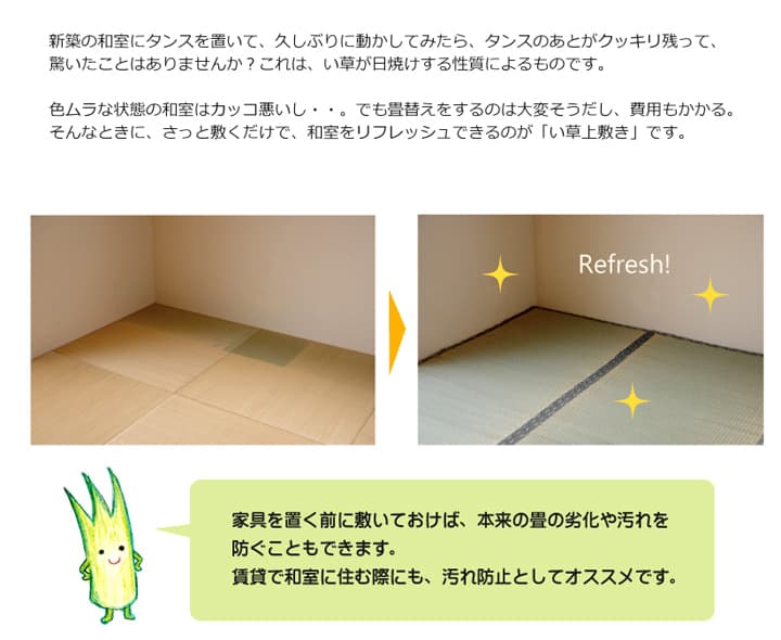 純国産い草上敷きカーペット糸引織湯沢団地間4.5畳約255×255cm