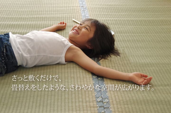 純国産い草上敷きカーペット糸引織湯沢団地間4.5畳約255×255cm