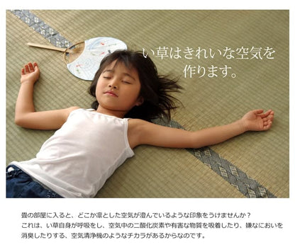 純国産い草上敷きカーペット糸引織湯沢団地間4.5畳約255×255cm