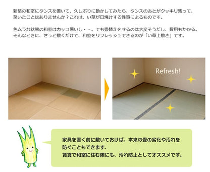 純国産い草上敷きカーペット糸引織湯沢三六間6畳約273×364cm