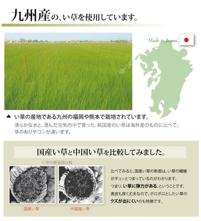 純国産い草上敷きカーペット糸引織湯沢本間6畳約286×382cm