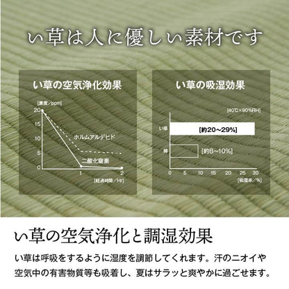 純国産い草上敷き上質ない草で作ったカーペット双目織江戸間2畳約176×176cm