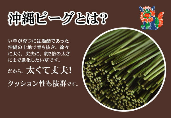 純国産沖縄ビーグの寝ござざわわダブル約128×200cm※枚つなぎ