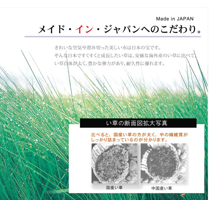 い草ラグおしゃれ国産カーペットシンプルブラウン約191×250cm
