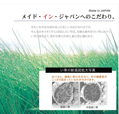 い草ラグおしゃれ国産カーペットシンプルブラウン約191×250cm