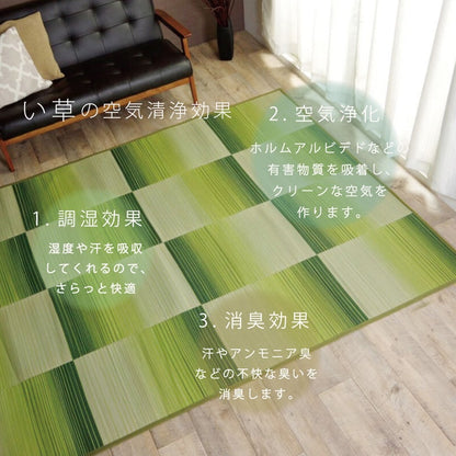 い草ラグおしゃれコンパクトシンプルカーペットDXモーセ約135×180cｍ