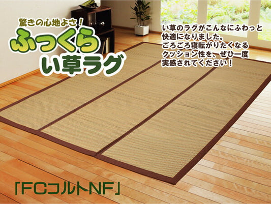 チップウレタン8mm入りい草ラグカーペットFCコルトNF約200×200cm