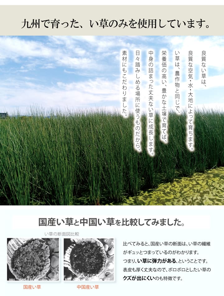 玄関マット室内おしゃれ日本製国産い草自然素材カラフルカジュアル約70×120cm