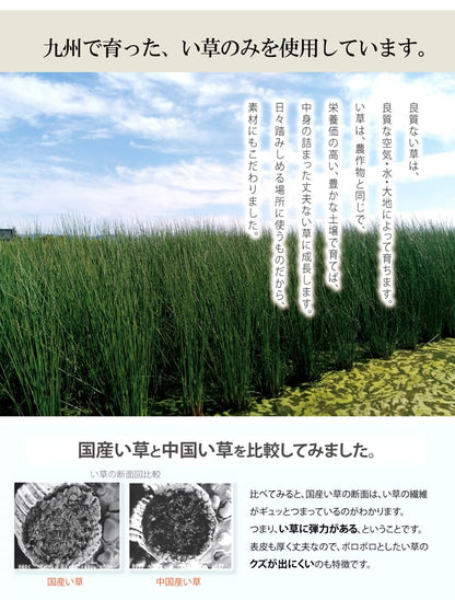玄関マット室内おしゃれ日本製国産い草自然素材カラフルカジュアル約70×120cm