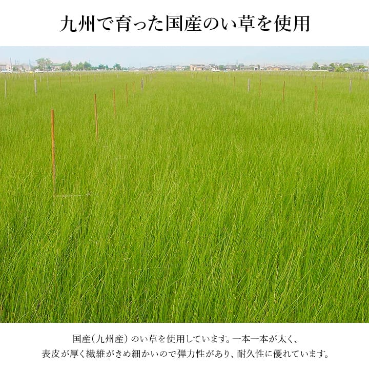 おすすめ玄関マット上がり框和モダンおしゃれクッション性花柄高級感アップ室内天然素材インテリア約35×90cm