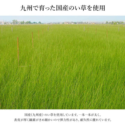 おすすめ玄関マット上がり框和モダンおしゃれクッション性花柄高級感アップ室内天然素材インテリア約35×90cm
