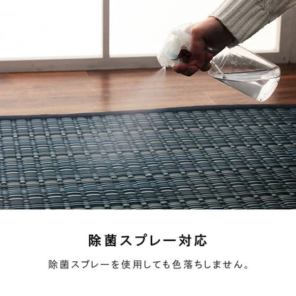 洗えるカーペットダイニングラグ敷詰丈夫日本製国産除菌スプレー対応ござアウトドアペット団地間1畳約85×170cm