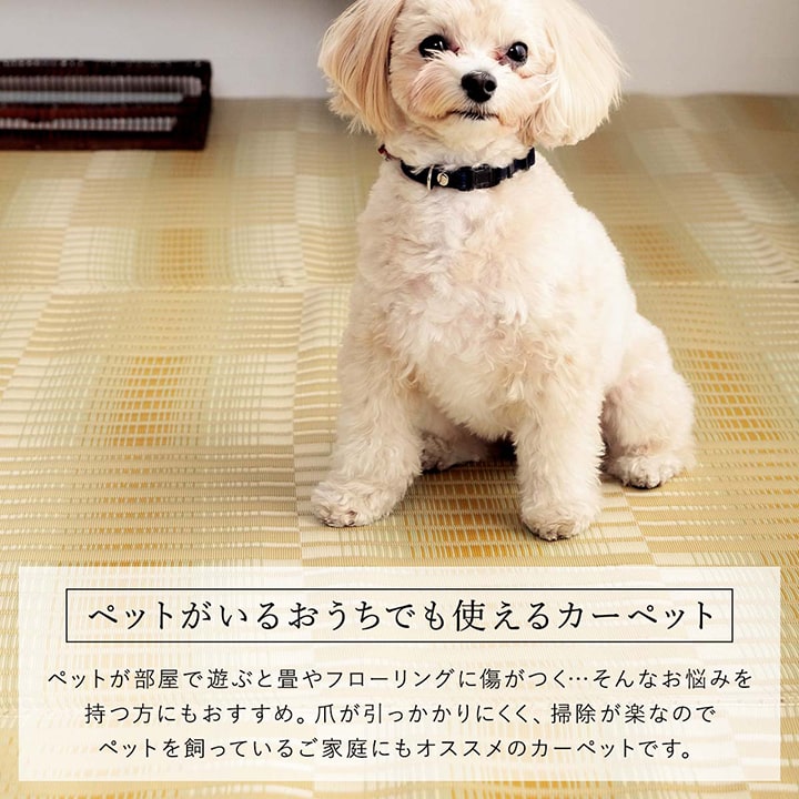 洗えるござ日本製国産カーペット丈夫除菌スプレー対応敷詰ラグ敷物アウトドアレジャーペット本間6畳約286.5×382cm