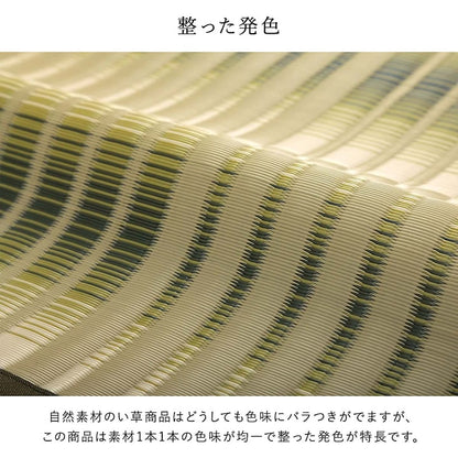 洗えるござ日本製国産カーペット丈夫除菌スプレー対応敷詰ラグ敷物アウトドアレジャーペット本間8畳約382×382cm