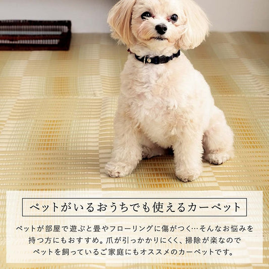 洗えるござ日本製国産カーペット丈夫除菌スプレー対応敷詰ラグ敷物アウトドアレジャーペット江戸間6畳約261×352cm