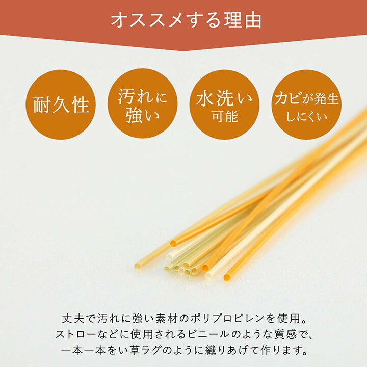 洗えるござ日本製国産カーペット丈夫除菌スプレー対応敷詰ラグ敷物アウトドアレジャーペット江戸間2畳約174×174cm
