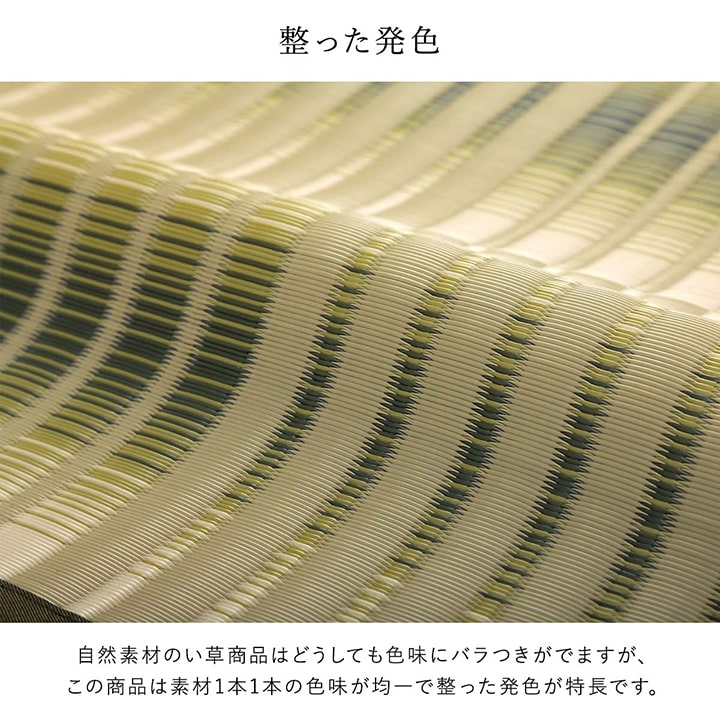 洗えるござ日本製国産カーペット丈夫除菌スプレー対応敷詰ラグ敷物アウトドアレジャーペット江戸間10畳約435×352cm