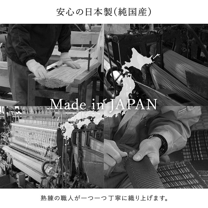 洗えるござ日本製国産カーペット丈夫除菌スプレー対応敷詰ラグ敷物アウトドアレジャーペット江戸間10畳約435×352cm