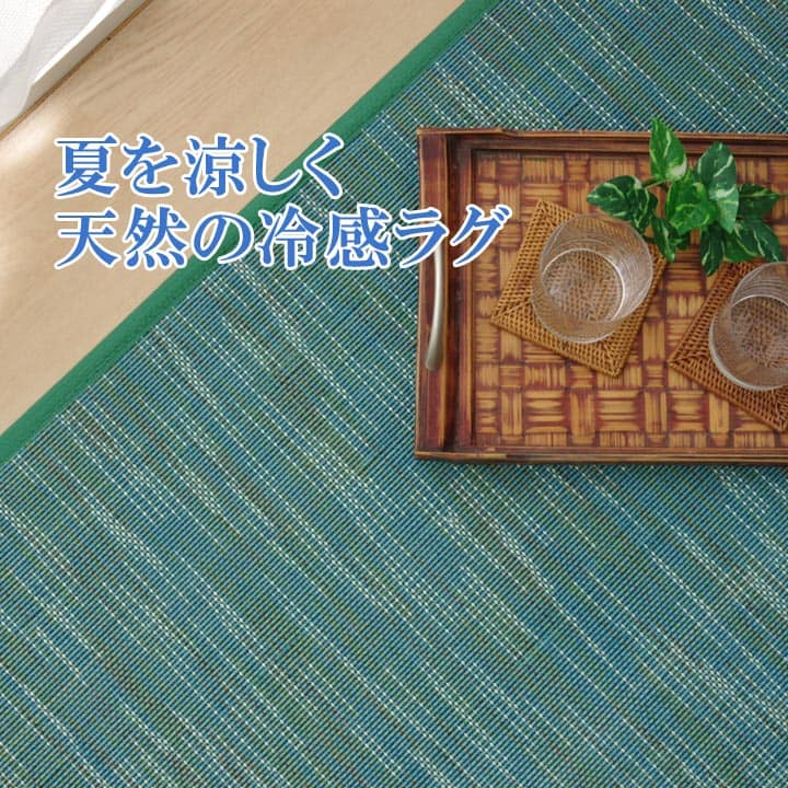 ラグカーペット無地シンプルバンブー竹DXフォース約190×300cm