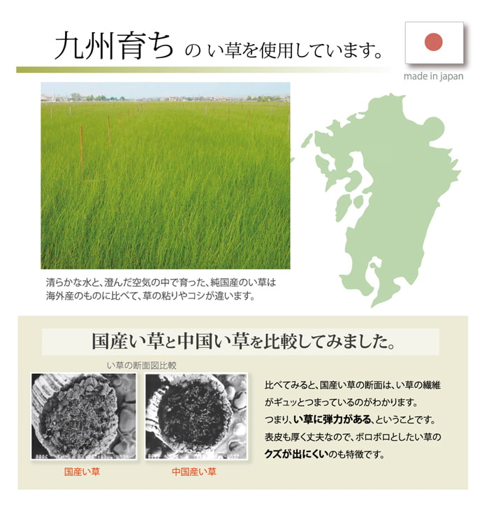 純国産い草ごろ寝マットさわやかR縁Jrマット約70×120cm中:固わた15mm