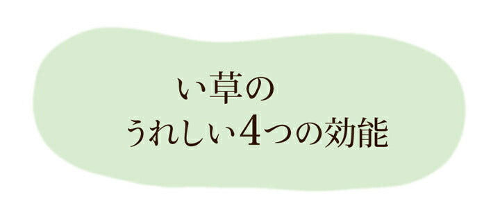 純国産い草ごろ寝マットさわやかR縁Jrマット約70×120cm中:固わた15mm