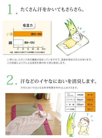 純国産い草ごろ寝マットさわやかR縁Jrマット約70×120cm中:固わた15mm
