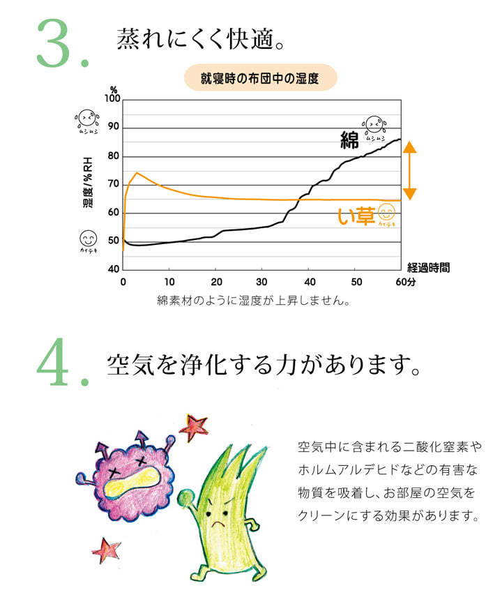 純国産い草ごろ寝マットさわやかR縁Jrマット約70×120cm中:固わた15mm