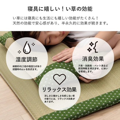 寝具枕平枕い草吸湿調湿効果抗菌防臭ベージュ50×30cm