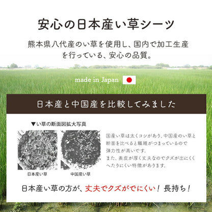 寝具シーツい草吸湿調湿効果抗菌防臭グリーン88×180cm