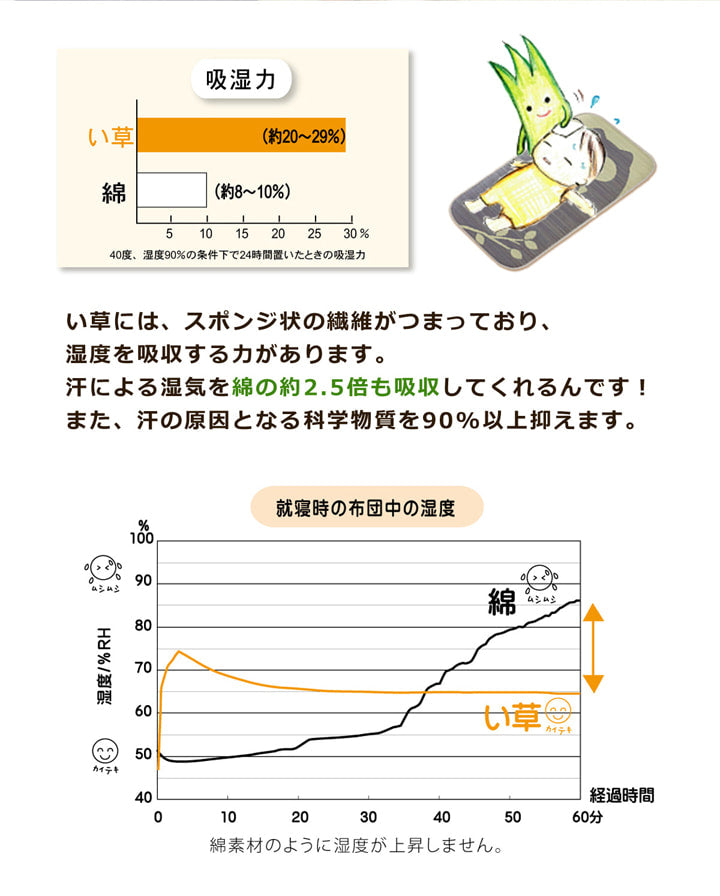 長座布団い草アニマル柄ござまる長座布団ふくろう約55×110cm